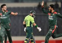 পাকিস্তানকে হারিয়ে সিরিজ জিতল বাংলাদেশ
