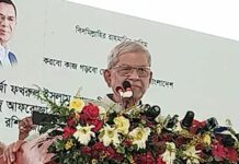 দেশের মানুষ কখনো জামায়াতকে ক্ষমতায় আনবে না: মির্জা ফখরুল