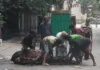 ঢাকায় ঈদের দ্বিতীয় দিনেও চলছে পশু কোরবানি
