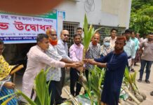 মুকসুদপুরে কৃষকের মাঝে নারকেল চারা ও সার বিতরণ