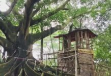 দোয়ারায় কথিত পীরের কবরস্থানে আস্তানা : মাদকের আসর