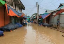 শেরপুরে তিন নদীর পানি বিপৎসীমার ওপরে