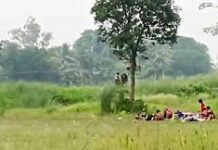 চাঁপাইনবাবগঞ্জ সীমান্তে ২০ জনকে পুশ-ইনের চেষ্টা, থামিয়ে দিলো বিজিবি