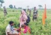 অবৈধ পুশ-ইন ঠেকাতে সীমান্তে সতর্ক বিজিবি: স্বরাষ্ট্রমন্ত্রী