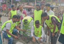 ২৫ কোটি বৃক্ষরোপণ কর্মসূচি: সদরঘাটে কিরণের নেতৃত্বে সবুজ অভিযাত্রা