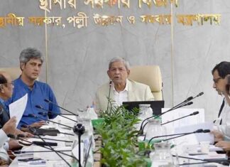মানুষের দীর্ঘমেয়াদি কল্যাণ হবে, এমন প্রকল্পে অগ্রাধিকার: মির্জা ফখরুল