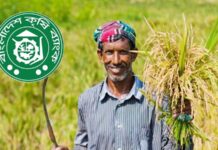 ৭ লাখের বেশি কৃষকের ৬০৫ কোটি টাকার ঋণ মওকুফ
