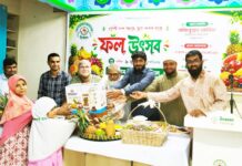 ইলহাম ইসলামিক স্কুলে বর্ণাঢ্য আয়োজনে ‘ফল উৎসব-২০২৬’ অনুষ্ঠিত