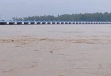 তিস্তার পানি বেড়ে বিপৎসীমার ছুঁই ছুঁই