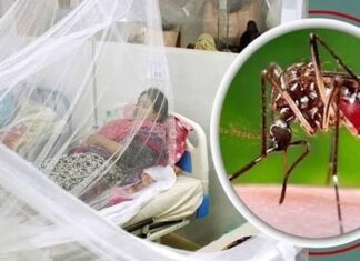 ডেঙ্গুতে একদিনে ৩ জনের মৃত্যু