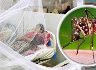 ডেঙ্গুতে আরও ৩ জনের মৃত্যু