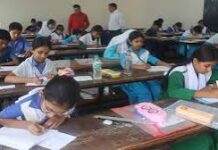 প্রাথমিক বৃত্তি পরীক্ষার ফল রোববার