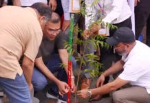 প্রধানমন্ত্রীর উপস্থিতিতে একযোগে আড়াই হাজার গাছের চারা রোপণ