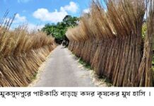 বাণিজ্যিকভাবে বেড়েছে পাটকাঠির ব্যবহার