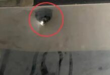 চট্টগ্রামে ৫০ লাখ টাকা চাঁদা দাবি, না পেয়ে ভবনের গেটে গুলি