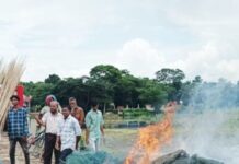 মুকসুদপুরে অভিযানে ৯২টি নিষিদ্ধ চায়না দুয়ারী জাল জব্দ করে ধ্বংস করেছে উপজেলা মৎস্য অধিদপ্তর