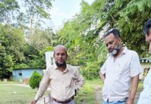মুকসুদপুরে নিষিদ্ধ পিরানহা মাছ জব্দ