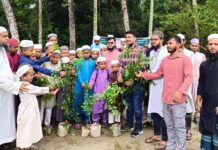 ছাতকের পিস’র উদ্যোগে বৃক্ষরোপণ কর্মসূচি ও সংবর্ধনা অনুষ্ঠিত