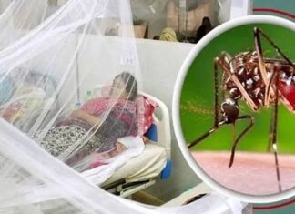 ডেঙ্গুতে এক দিনে সর্বোচ্চ আক্রান্ত ১০৯৭, মৃত্যু ৩