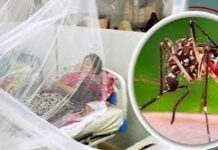ডেঙ্গুতে আরও ২ জনের মৃত্যু, আক্রান্ত ৬৭২