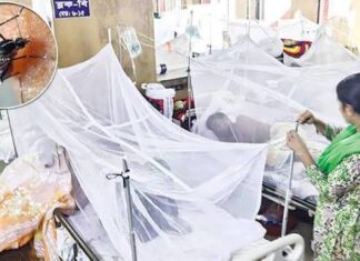 ২৪ ঘণ্টায় ডেঙ্গুতে আরো ২ জনের মৃত্যু