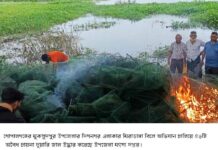 মুকসুদপুরে মৎস্য দপ্তর অভিযানে অবৈধ চায়না দুয়ারি জাল আগুনে ধ্বংস
