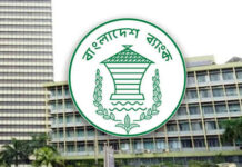 বিনা জামানতে ২০ লাখ টাকা দেবে বাংলাদেশ ব্যাংক, যারা পাবেন