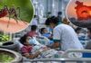 সেপ্টেম্বরের প্রথম ১২ দিনে ডেঙ্গুতে ৫২ জনের মৃত্যু