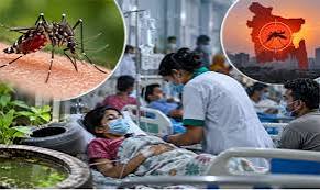 সেপ্টেম্বরের প্রথম ১২ দিনে ডেঙ্গুতে ৫২ জনের মৃত্যু
