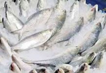বাংলাদেশ থেকে ইলিশ রপ্তানি নিষেধাজ্ঞা প্রত্যাহার চায় ভারত