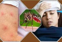 ডেঙ্গু কেড়ে নিল আরও ৬ প্রাণ, হাসপাতালে ১৪৯২