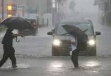 জাপানে আঘাত হেনেছে শক্তিশালী টাইফুন দুজুয়ান, শত শত ফ্লাইট বাতিল