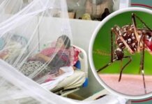 ডেঙ্গুতে আরও ৬ জনের মৃত্যু, হাসপাতালে ভর্তি ২১৫৮