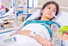 ডেঙ্গুতে আরও ৮ জনের মৃত্যু, হাসপাতালে ভর্তি ১৮৬০