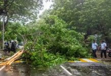 মধ্যরাতে অন্ধ্রপ্রদেশে ঘূর্ণিঝড় ‘অর্ণব’-এর আঘাত