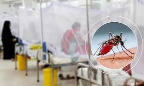 ডেঙ্গুতে আরও ৯ জনের মৃত্যু, হাসপাতালে ভর্তি ১৯০২