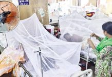ডেঙ্গুতে আরও ৯ জনের মৃত্যু, হাসপাতালে ভর্তি ১৯৫৪