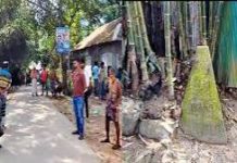 ১৫ ঘণ্টা পর মুক্তি পেলেন বিএসএফের হাতে আটক দুই পুলিশ সদস্য