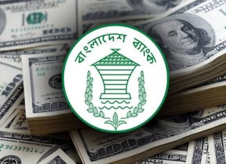 ২৪ দিনে এলো ২৬ হাজার ২৪০ কোটি টাকার রেমিট্যান্স