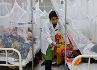 ২৪ ঘণ্টায় ডেঙ্গুতে ৯ জনের মৃত্যু, হাসপাতালে ভর্তি ১৯৮২