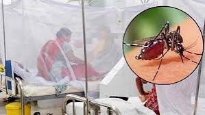 ডেঙ্গুতে মৃত্যু ৩০০ ছাড়াল, হাসপাতালে ভর্তি ২১৯৩
