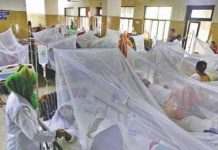ডেঙ্গুতে আরও ৭ জনের মৃত্যু, হাসপাতালে ভর্তি ১৮৭২